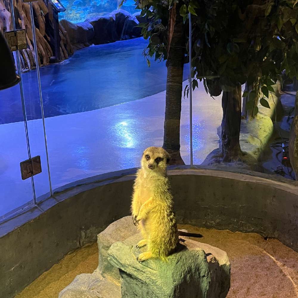 .holymonkey.'s  profile picture
