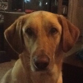 Macey2026's  profile picture