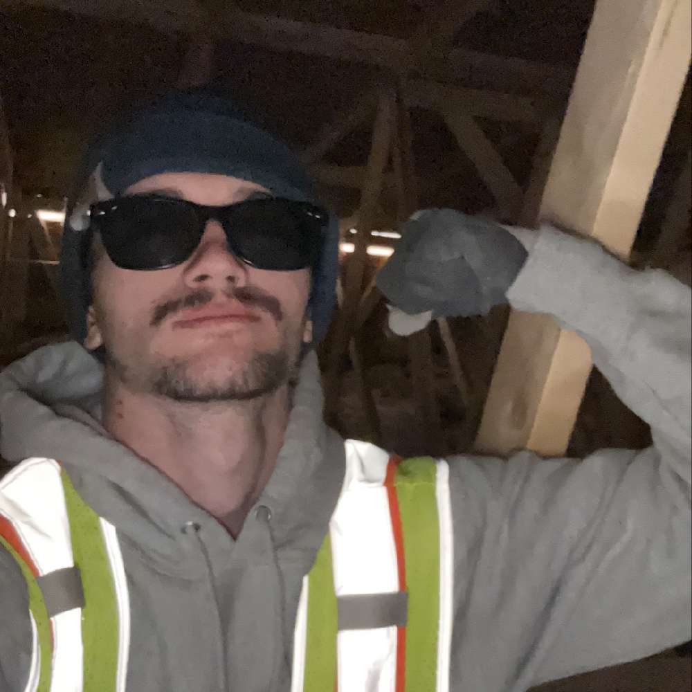 BenTray3's  profile picture