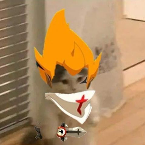 bats0077's  profile picture