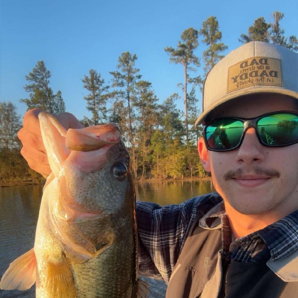 Hawgs23's  profile picture