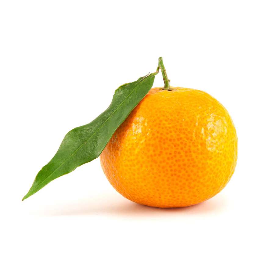 thekarchery's  profile picture