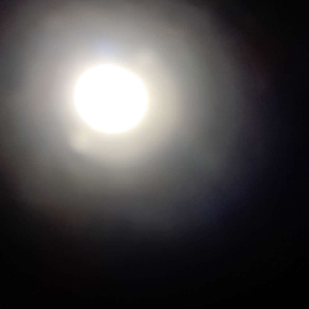 randomuserbyday2254's profile photo