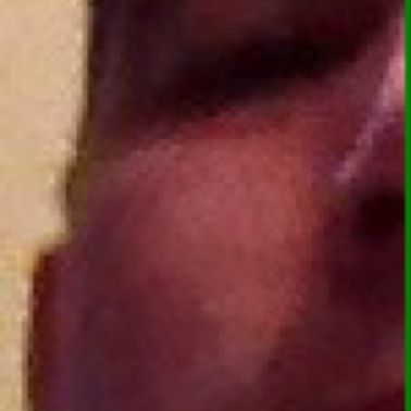 donttellmywife's profile photo