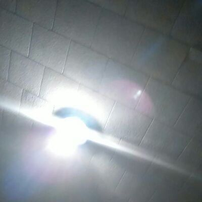 Torie13_sanders's  profile picture
