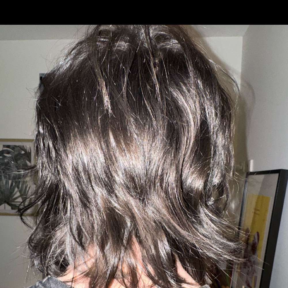bbeepbloop's profile picture