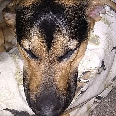 Sasquatch61's  profile picture