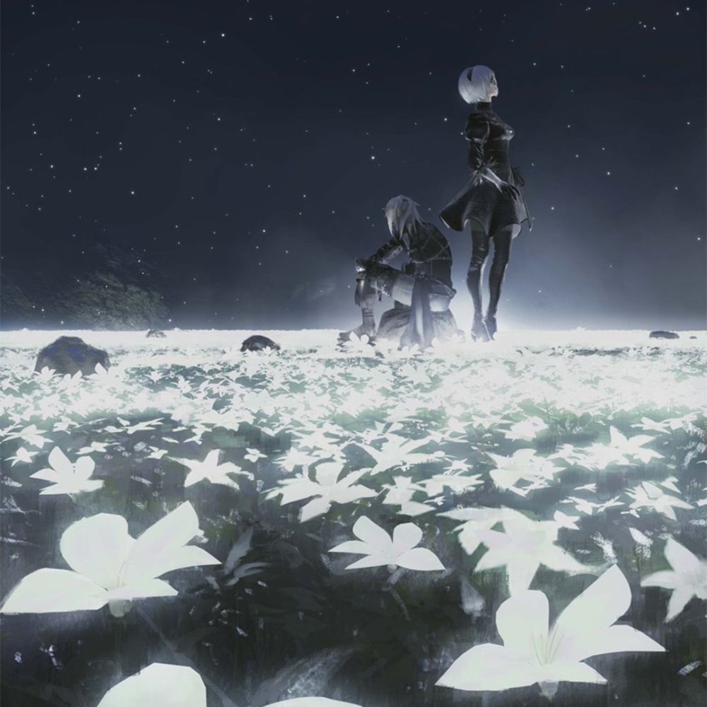 Seluniss's  profile picture