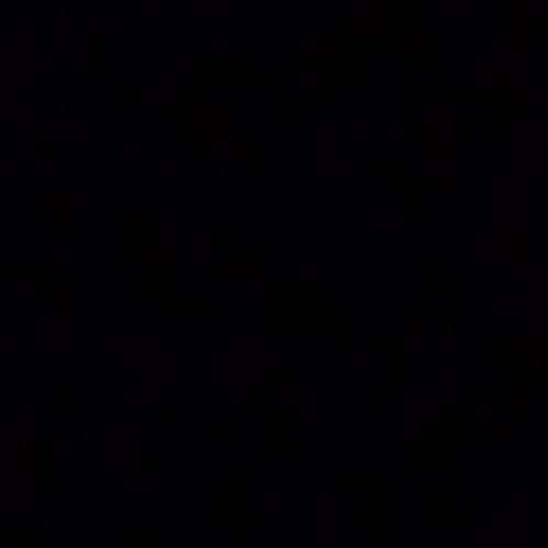 Gringo518's  profile picture