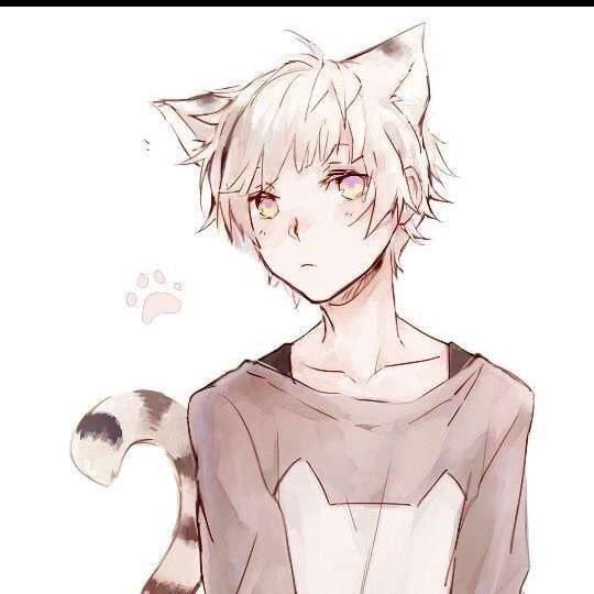 NekoBIfriend's profile photo