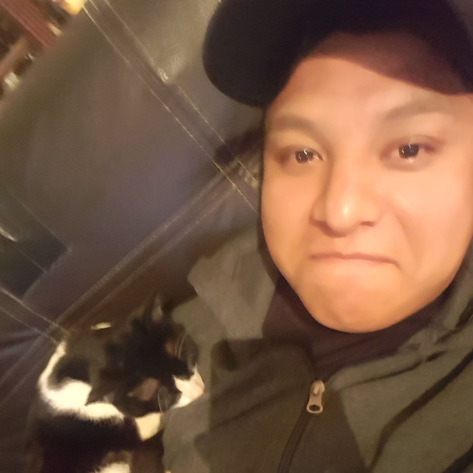 Gatobox's  profile picture