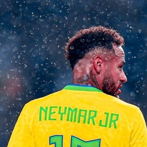 mastercarolo's profile picture