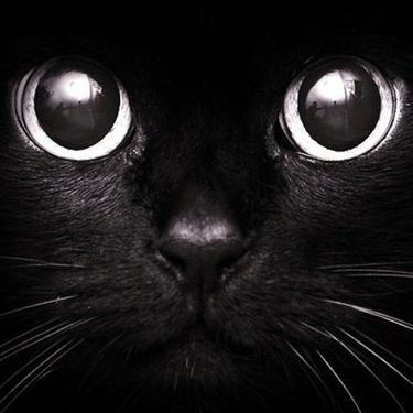 Mantt1307's  profile picture