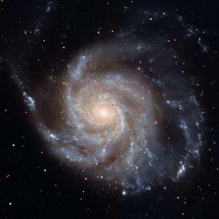 theastronerd's profile picture