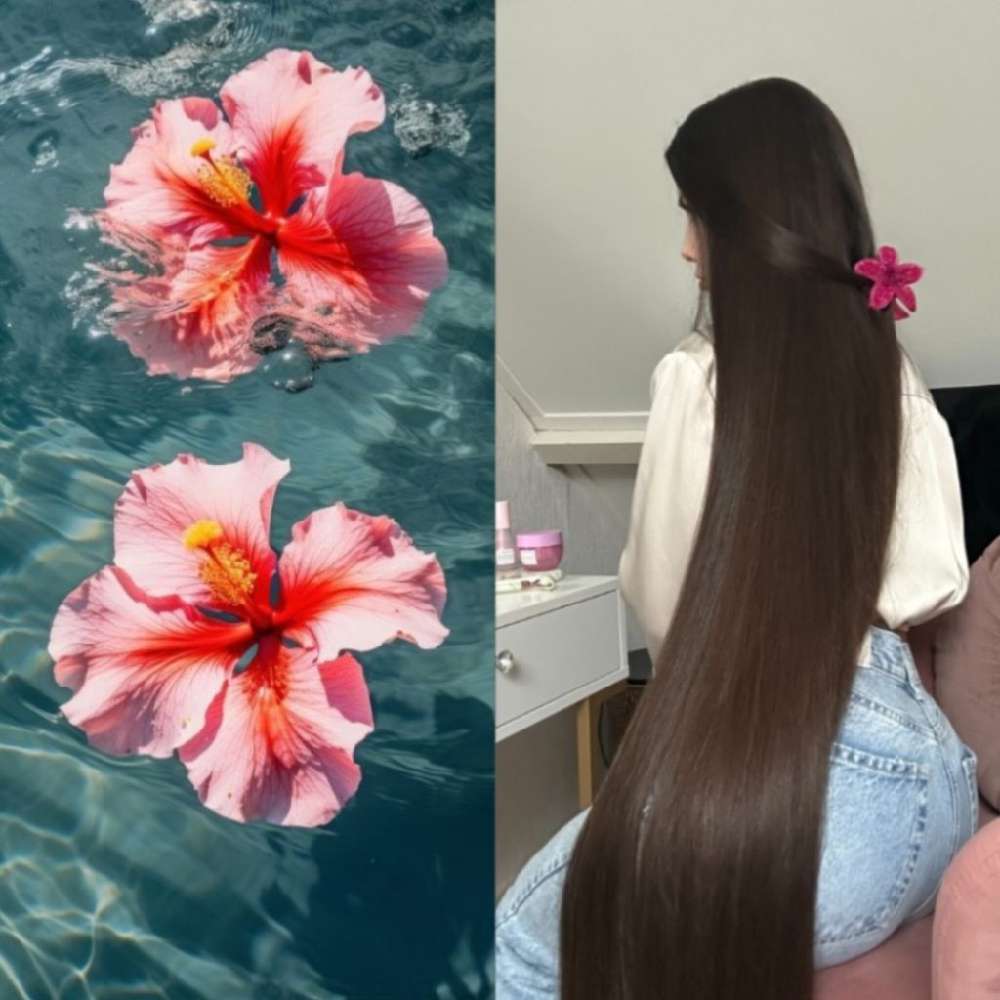 AbsoluteMaehem's  profile picture