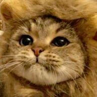 Andra7859's  profile picture