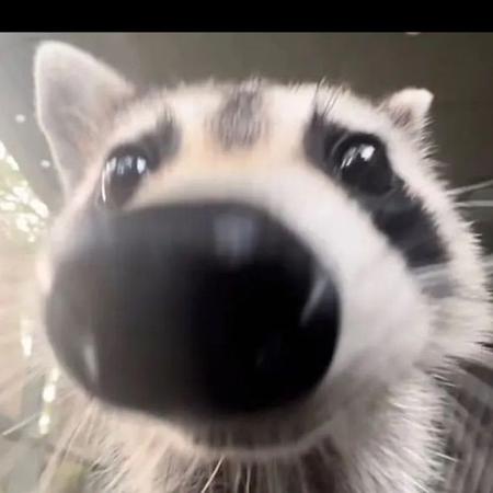 salty_sriracha14's  profile picture
