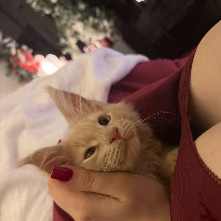 jessmizzz's profile photo