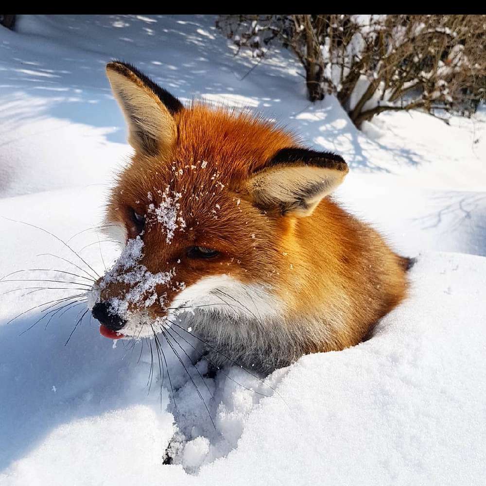 Jbear6351's  profile picture