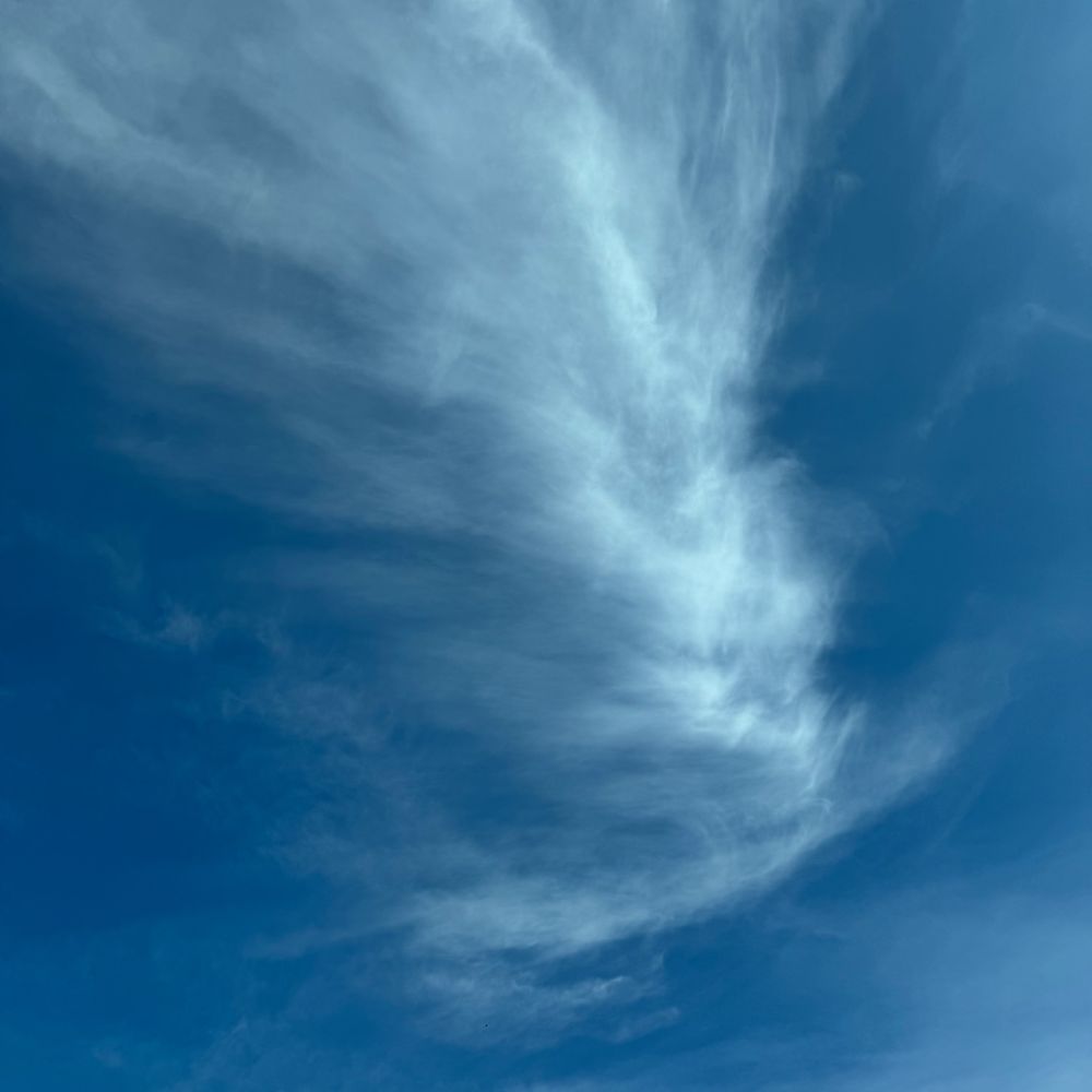 JohnDoeszs2's  profile picture