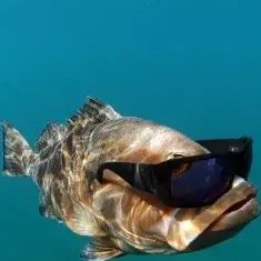 ericartman99's  profile picture