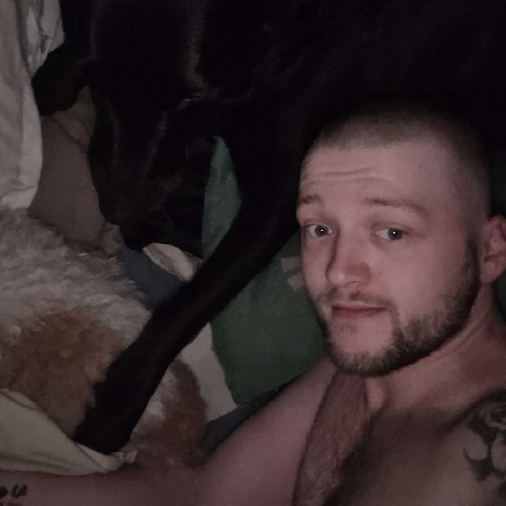 dmitri_the_mafia_bos's profile picture