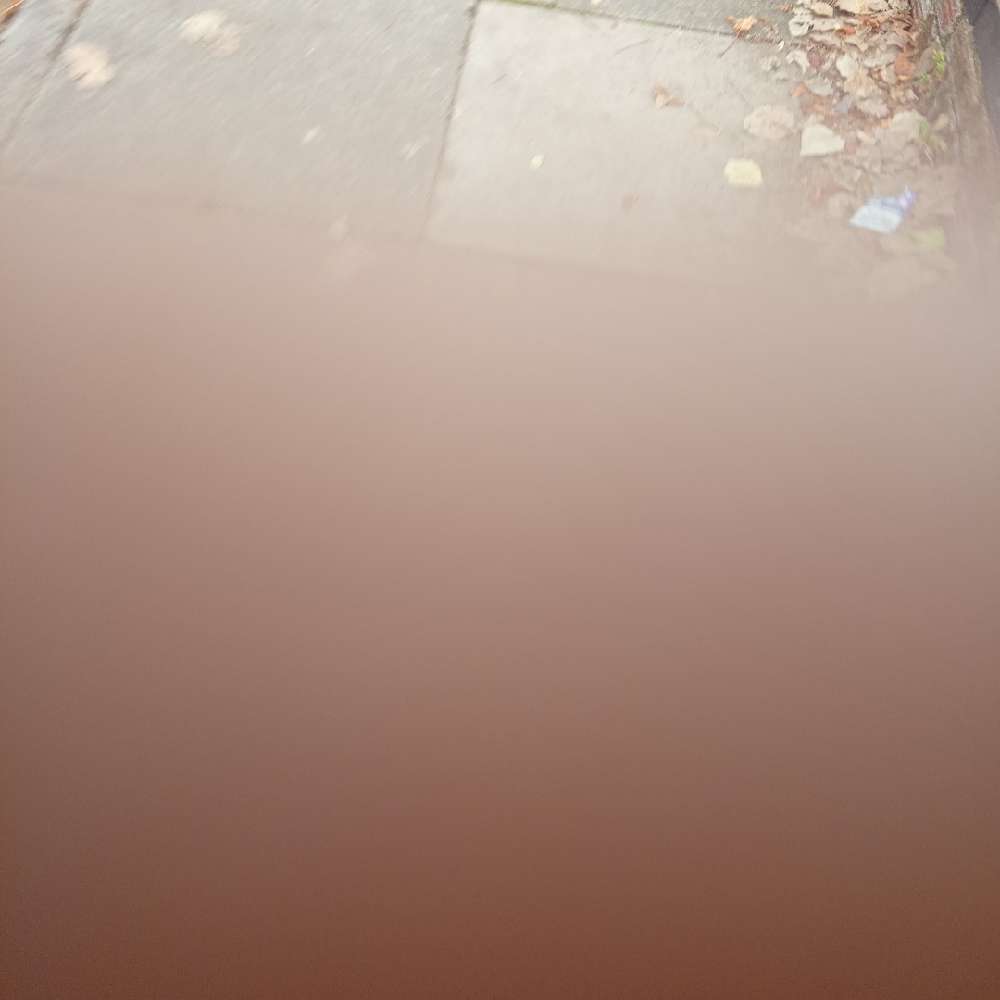 dyJrt's profile picture