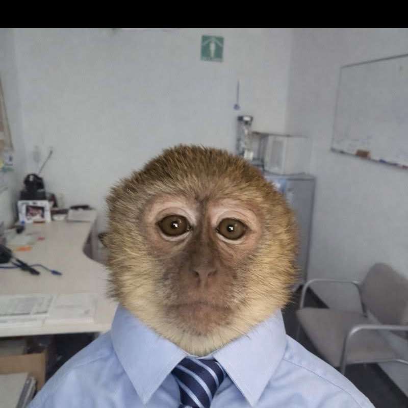 bigmushroom7's  profile picture