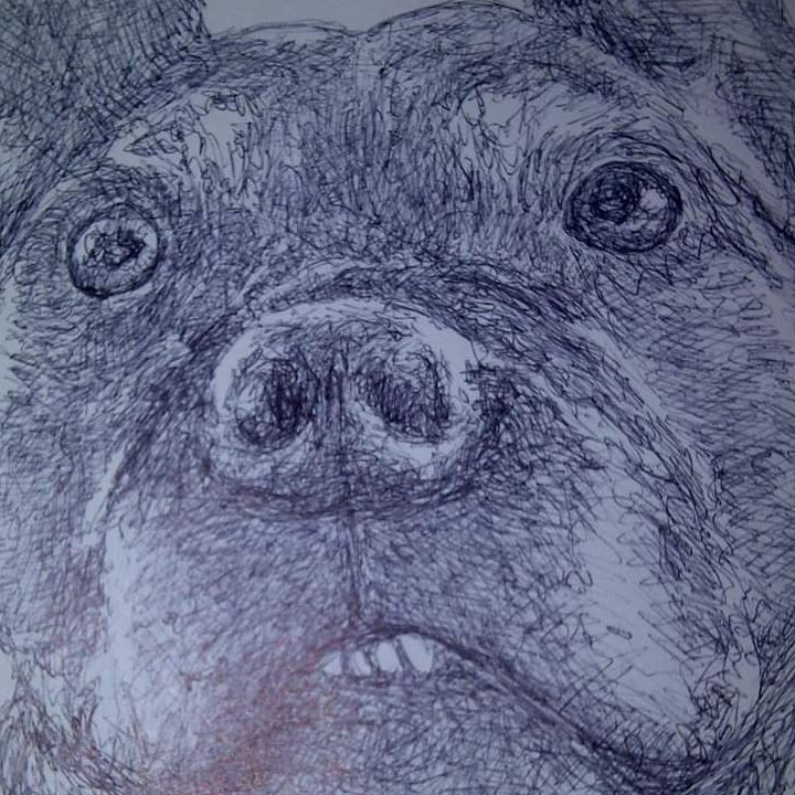 Hbombseven's  profile picture