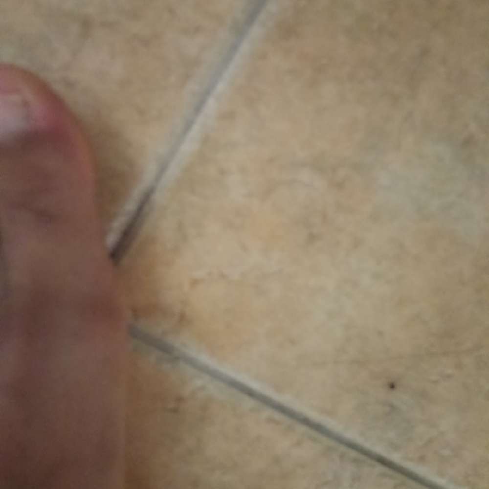 Luluuuke8567's profile photo