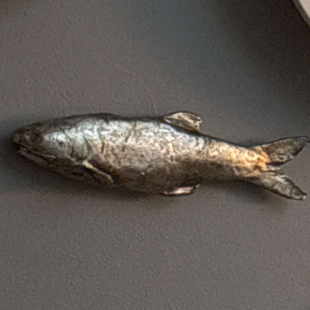 drcc12's  profile picture