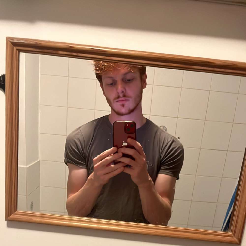 GingeT961's  profile picture