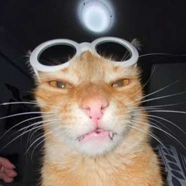 parker123lol's  profile picture
