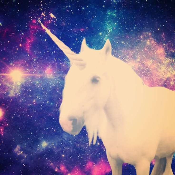 Calliescorner's profile picture
