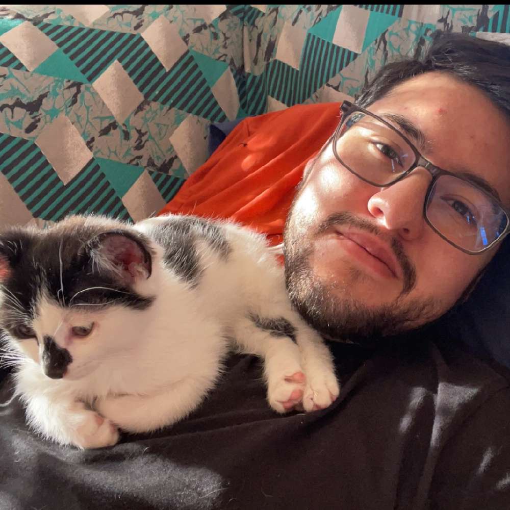 luke.n.0's  profile picture