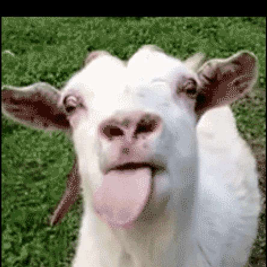 realbg's profile photo