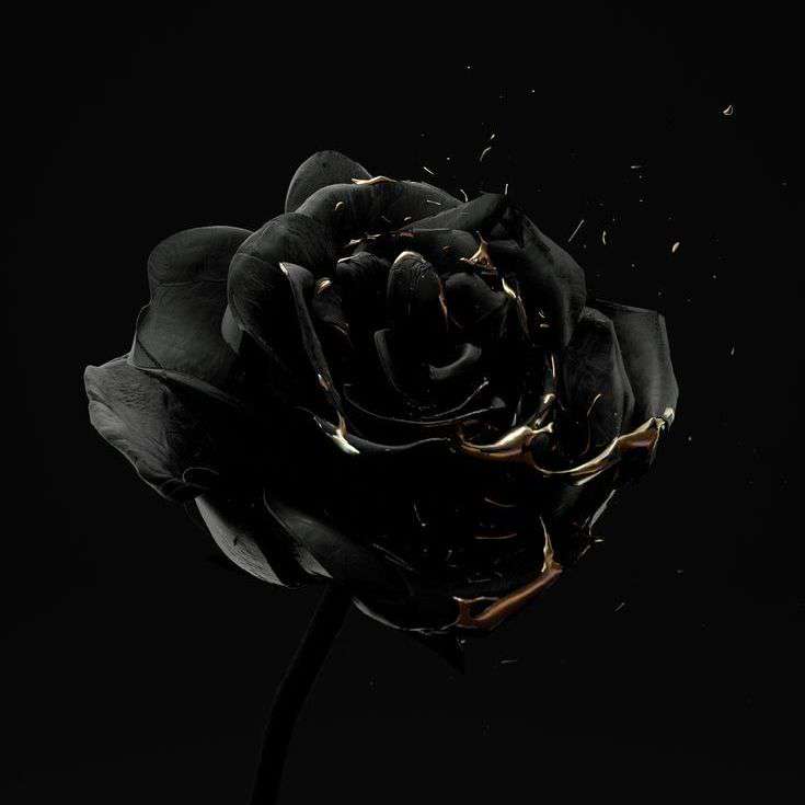 chillthings234's  profile picture