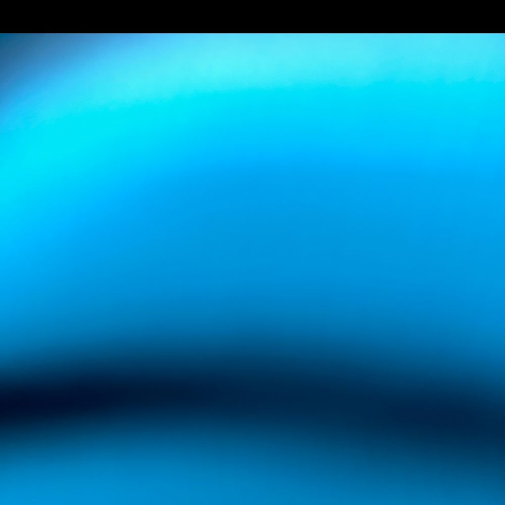 zz407's profile picture
