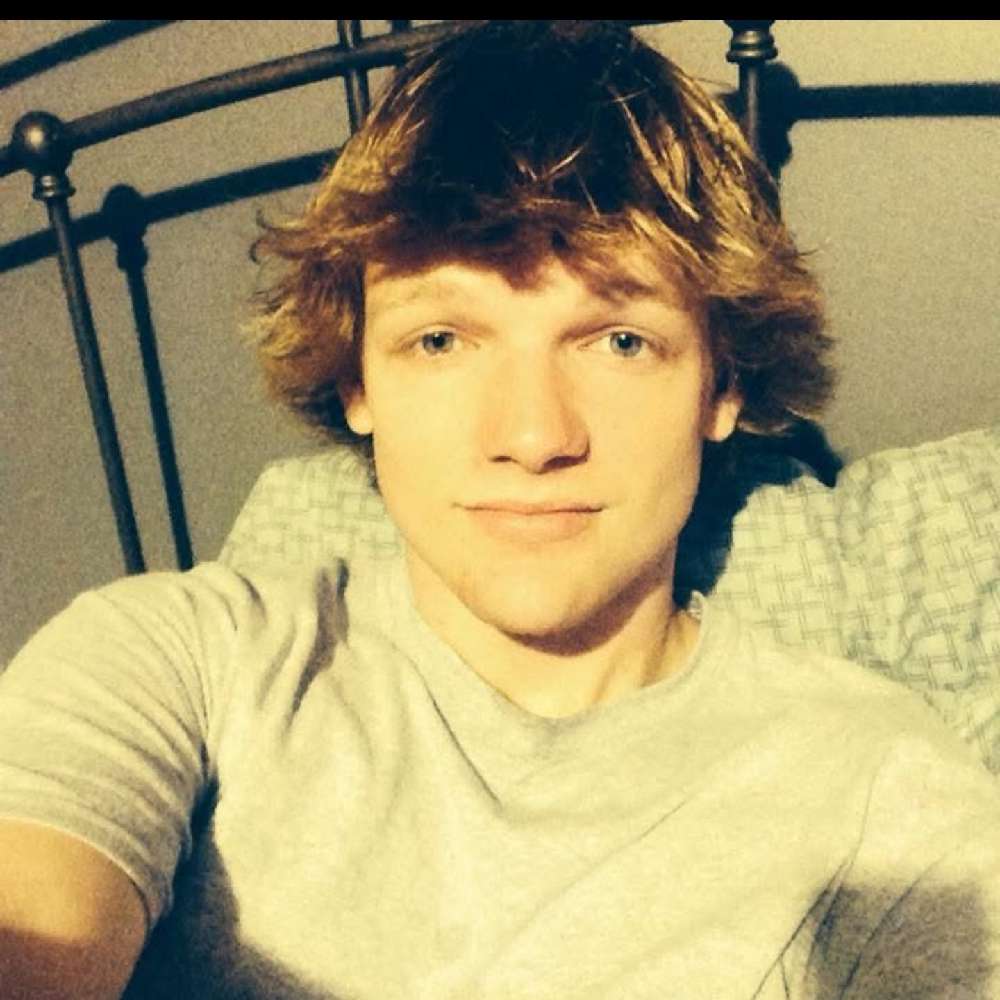 1Night_Owler's profile picture