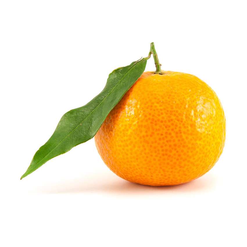 karcheryy's  profile picture