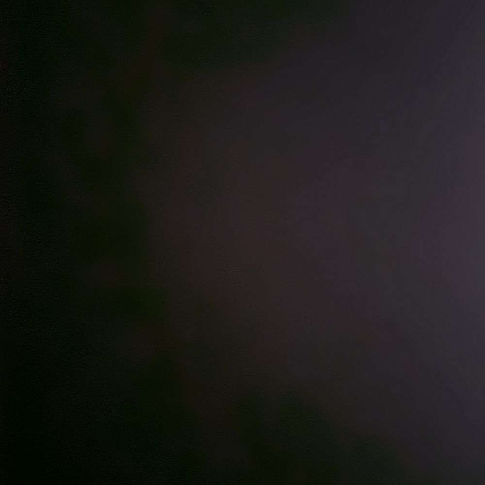 Steefsteef2025's  profile picture