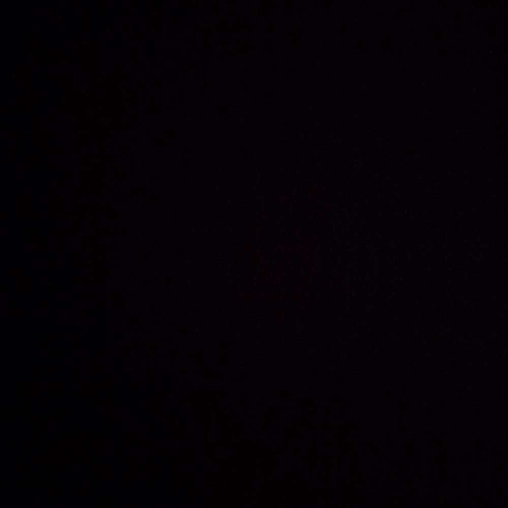 notnewnewaccount's profile photo
