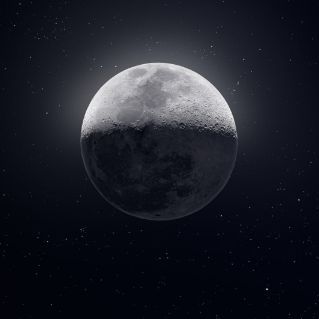 Rose.a397's  profile picture
