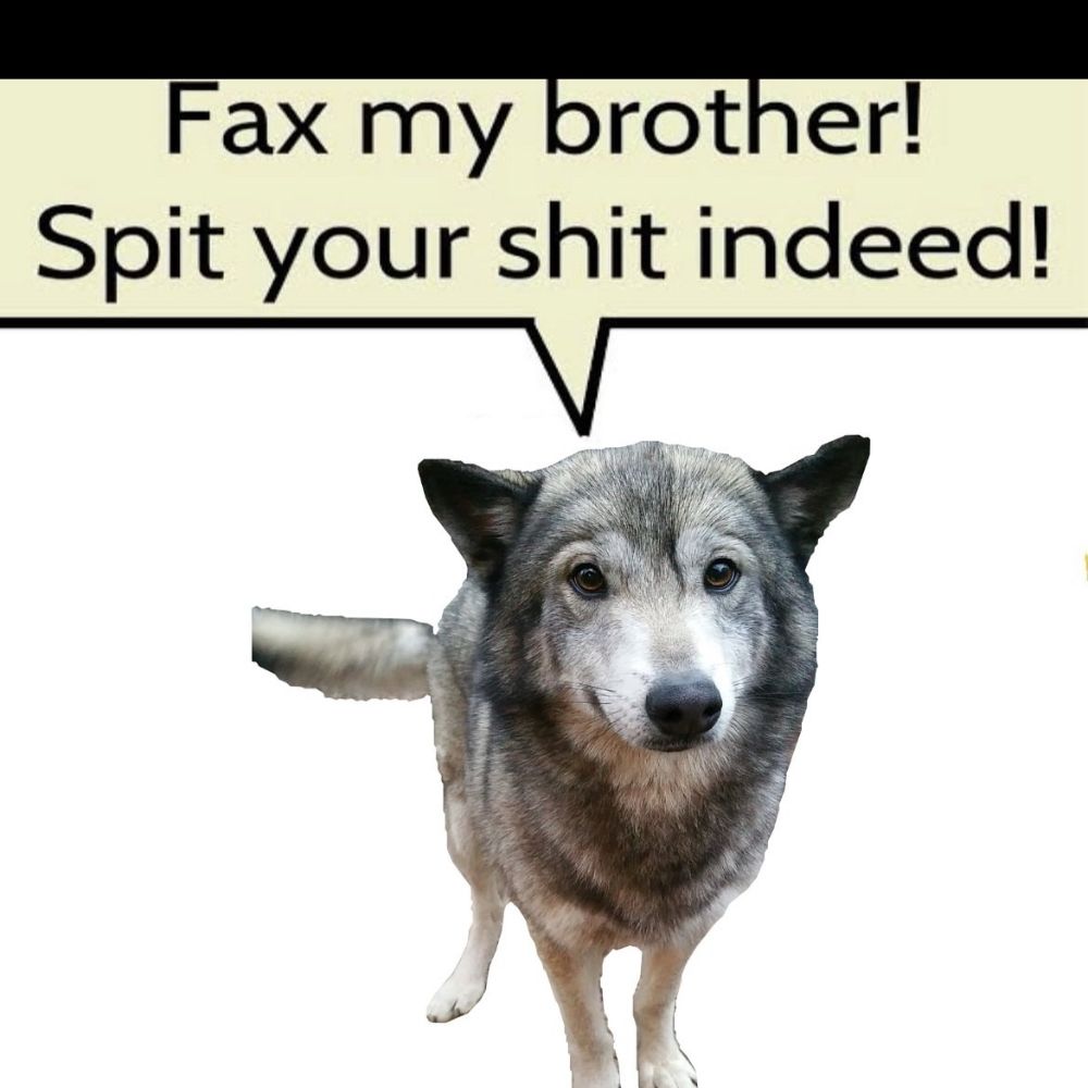 frankyyyyb's  profile picture