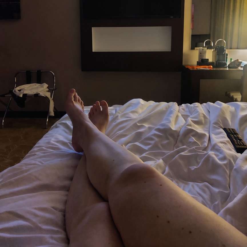 shibe87's profile picture