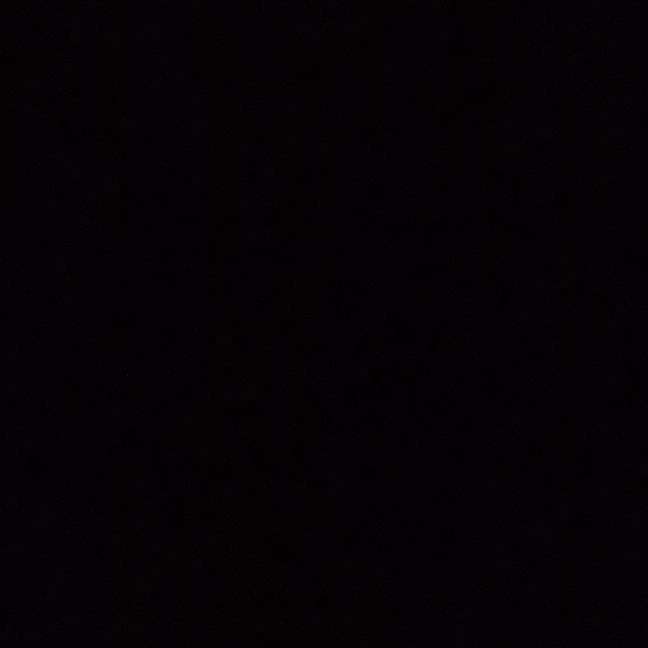 Annabellepup's  profile picture