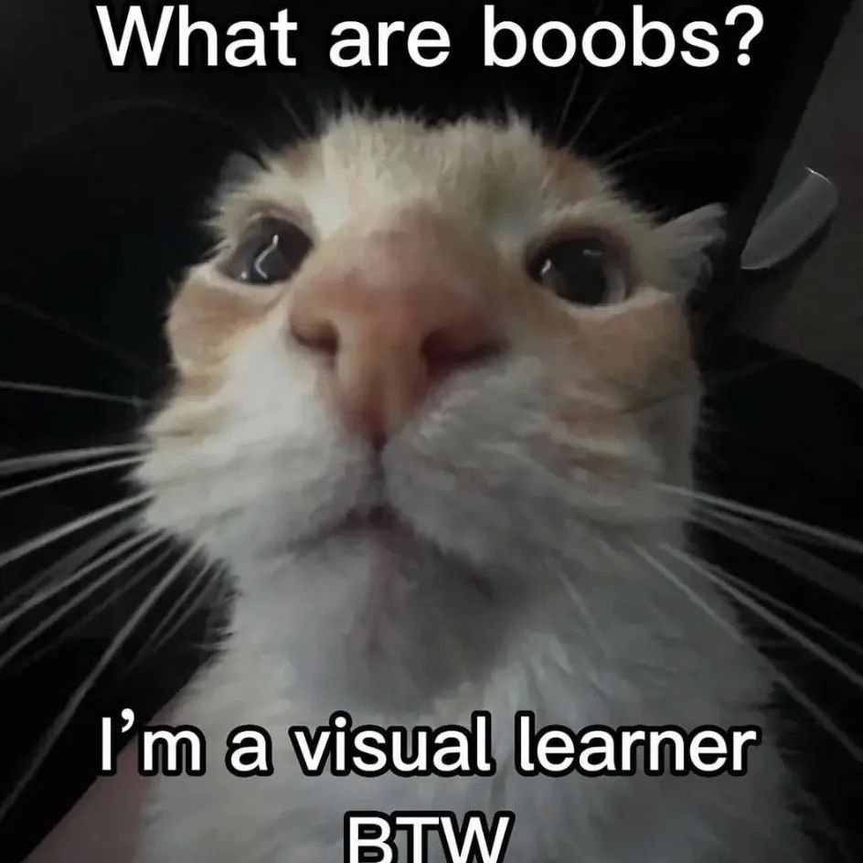 sheephole's  profile picture