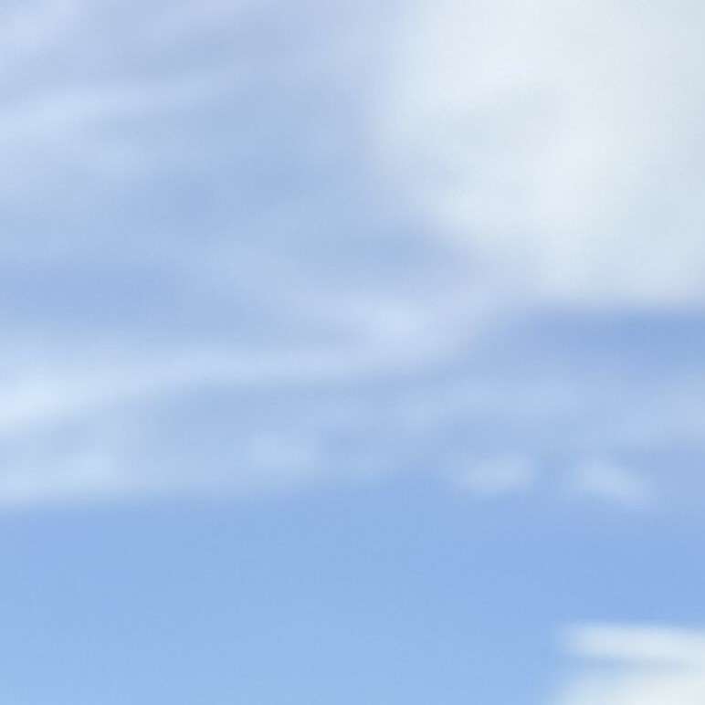iloveridingvid's  profile picture