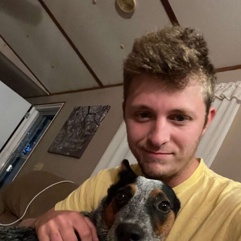 ipl332211's profile photo