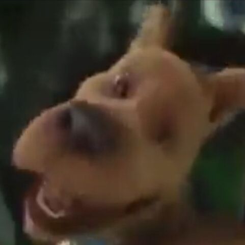 JustAGuy636's  profile picture